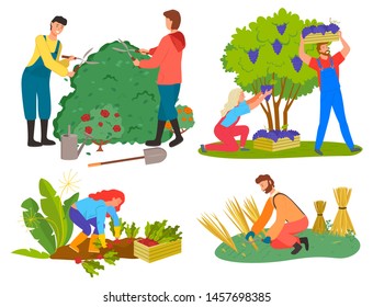 Farming and gardening people vector, isolated set of character on farm. Harvesting grapes and beetroots, wheat field. Farmer man and woman trimming bushes. Flat cartoon