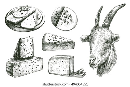 farming. goat breeding. livestock. cheesemaking.