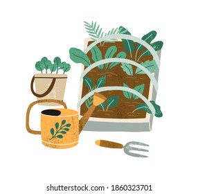 Farming and greens cultivation concept. Breeding green plants. Garden tools like water can and weeder near box of growing lettuce and spinach. Flat vector illustration isolated on white background