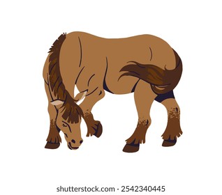 La cría de caballos pastan en los pastos. Lindo animal de granja con pezuñas comiendo en el campo. Yegua rural, semental con melena. Mascota de la granja, ganado en un rancho. Ilustración vectorial aislada plana sobre fondo blanco