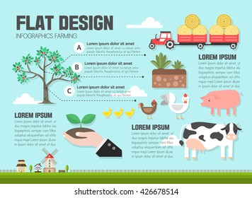 farming Info graphic illustration