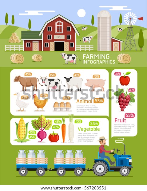 Farming Infographic Elements Template Vector Illustration Stock Vector ...