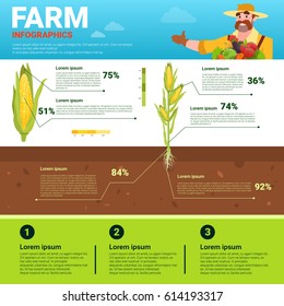 Farming Infographics Eco Friendly Organic Natural vegetable Growth Farm Production Banner With Copy Space Vector Illustration