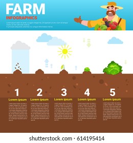 Farming Infographics Eco Friendly Organic Natural vegetable Growth Farm Production Banner With Copy Space Vector Illustration