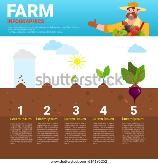 Farming Infographics Eco Friendly Organic Natural Stock Vector (royalty 