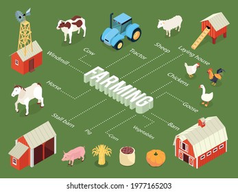 Farming isometric flowchart with farmhouse stall barn chickens laying house tractor livestock vegetables crops windmill vector illustration