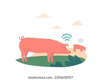 Farming And Livestock Innovations Concept. Pigs Grazing On Meadow With Gps Tracker. Technology, Efficient Grazing