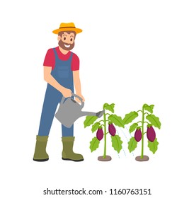 Farming man with watering can isolated icon vector. Male wearing special uniform takes care of aubergine plants. Vegetable growth, veggie agriculture