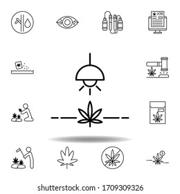 cultivo, icono del esquema marihuana. Set puede utilizarse para web, logotipo, aplicación móvil, UI, UX en fondo blanco
