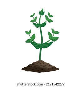Farming organic vegetables composition with images of sprout coming up from ground vector illustration