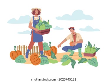 Farming people gathering squash and pumpkins from field. Man and woman on farm, farmers with baskets harvesting and tending crops and soil in home garden. Cartoon character in flat style vector