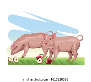 farming pigs eating fresh apples in the grass vector illustration