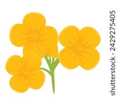 Farming rape flower icon cartoon vector. Extract food. Farm elegant
