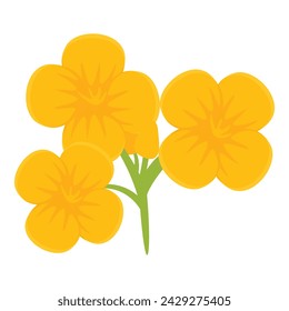 Farming rape flower icon cartoon vector. Extract food. Farm elegant