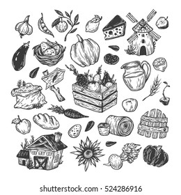 Farming set. Farm, harvest, vegetables, fruits, dairy products. Organic farm. Fresh market. 