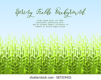 Farming spring background with green wheat shoots. Agriculture vector pattern