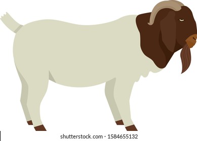 Farming today Boer goat Buck Vector illustration Isolated object set