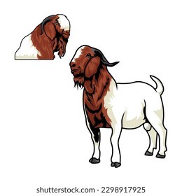 Farming Today Boer Goat Buck Vector Illustration Isolated Object Stock Vector