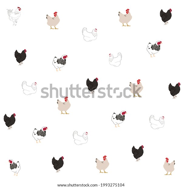 Farming Today Cute Chicken Breeds Pattern Stock Vector (Royalty Free ...