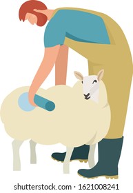 Farming today Farmer marks his sheep with blue spray for identification Organic farm Cartoon Flat Vector Illustration Isolated object set