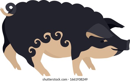 Farming today The Mangalica Breed of domestic pig Vector illustration Isolated object set