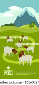 Farming today Organic farm A herd of Boer goats grazes in the green meadow Cartoon Flat Vector Illustration Banner set