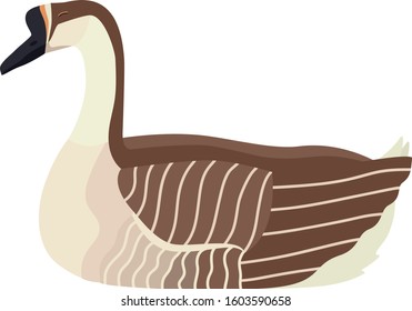 Farming today Vector illustration of a sitting African goose Isolated object set