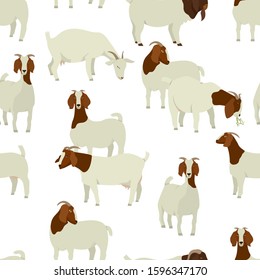 Farming today White & Brown Boer goats Vector illustration Seamless pattern set