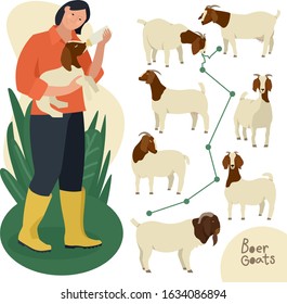 Farming today A woman bottle feeding a baby boer goat Cartoon vector illustration White & Brown Boer goats Isolated objects set