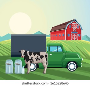 farming truck barn cow canister milk sunny day vector illustration