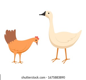 Vector agrícola, gallina aislada y ganso comiendo alimentos del suelo, pollo con pico y plumaje, agricultura doméstica y cuidado de animales de compañía de estilo plano