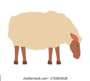 Farming vector, sheep isolated lamb with wool flat style character, cute fluffy animal on farm standing in farmyard, domestic pet breeding and caring