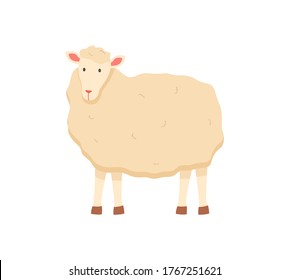 Farming vector, sheep isolated lamb with wool flat style character, cute fluffy animal on farm standing in farmyard, domestic pet breeding and caring