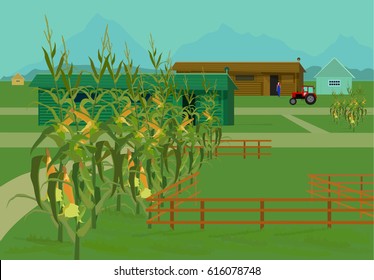 Farming/Vector illustration