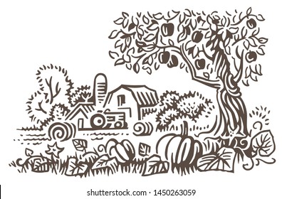 Farmland harvest time illustration. Rural landscape in autumn. Vector. 
