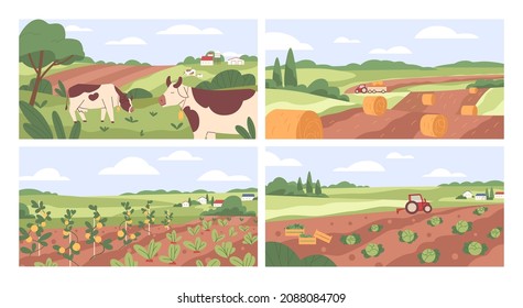 Farmland landscapes set. Farms backgrounds with cows in pastures, grasslands, agriculture fields, vegetable gardens in countryside. Colored flat vector illustrations of village panoramic scenes