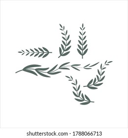 farn vector design template fully editable