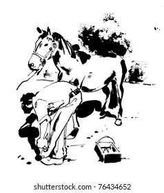 Farrier Changing Horse Shoe