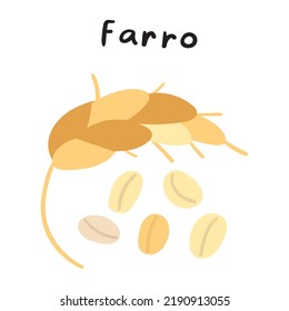 Farro. Vector illustration on white background.