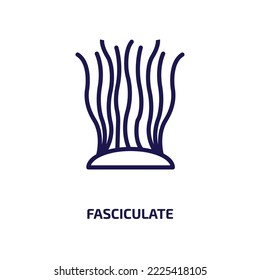 fasciculate icon from nature collection. Thin linear fasciculate, nature, order outline icon isolated on white background. Line vector fasciculate sign, symbol for web and mobile