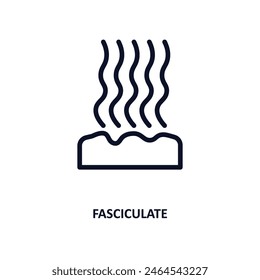 fasciculate icon. Thin line fasciculate icon from nature collection. Outline vector isolated on white background. Editable fasciculate symbol can be used web and mobile