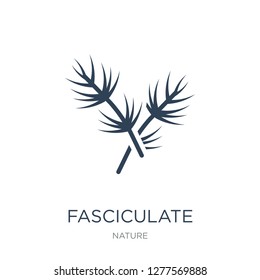 fasciculate icon vector on white background, fasciculate trendy filled icons from Nature collection, fasciculate vector illustration