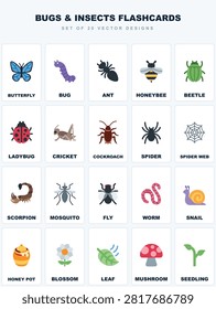 Fascinating Insects and Bugs Vector Collection for Entomology and Nature Study Flashcards