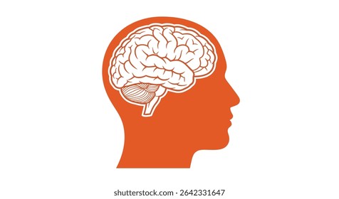 O fascinante mundo da ciência cognitiva e os mistérios da mente humana