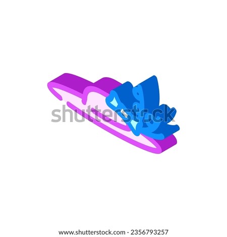 fascinator hat cap isometric icon vector. fascinator hat cap sign. isolated symbol illustration