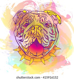 Fashion abstract colorful watercolor vector background with English bulldog. Fashion dog