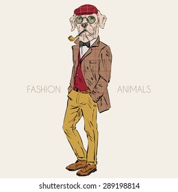 fashion animal illustration, anthropomorphic design, furry art, hand drawn illustration of Labrador dressed up in retro style