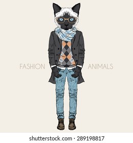fashion animal illustration, anthropomorphic design, furry art, hand drawn illustration of Siamese cat dressed up in city style