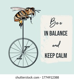 Fashion apparel print bee on bicycle. Be in balance, keep calm