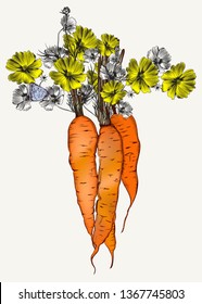 Fashion botanical illustration with carrot and flowers
